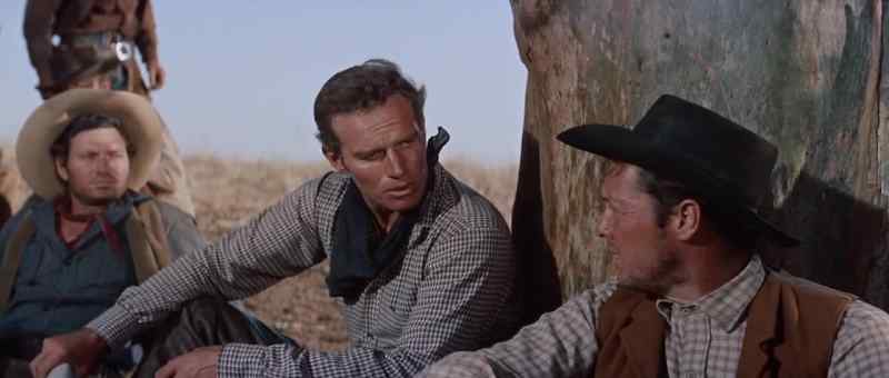 Look, cowboy