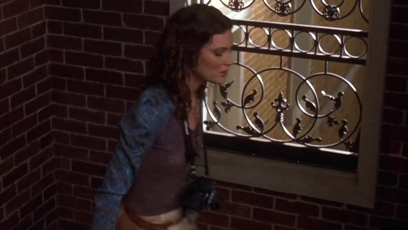 Look, don't blame me. I didn't break the elevator