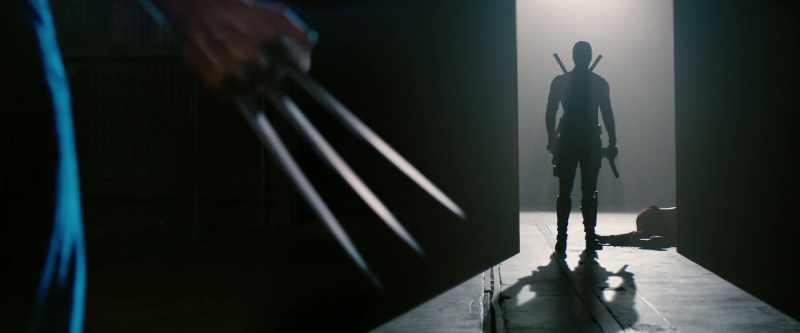 Look, eventually you're going to hang up the claws