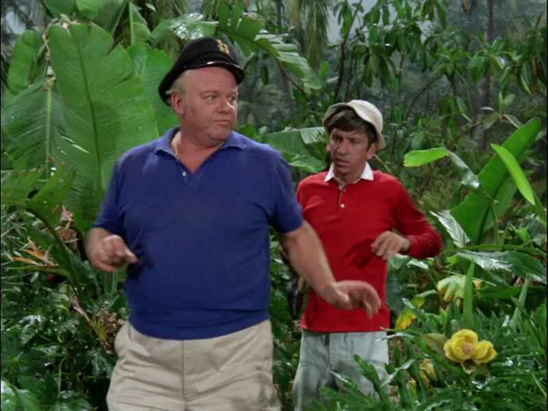 LOOK, GILLIGAN, I THINK IF WE SPLIT UP