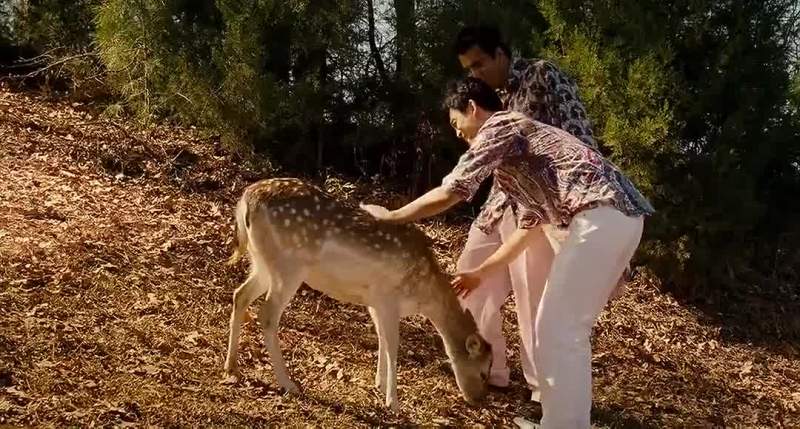 Look how cute this deer is