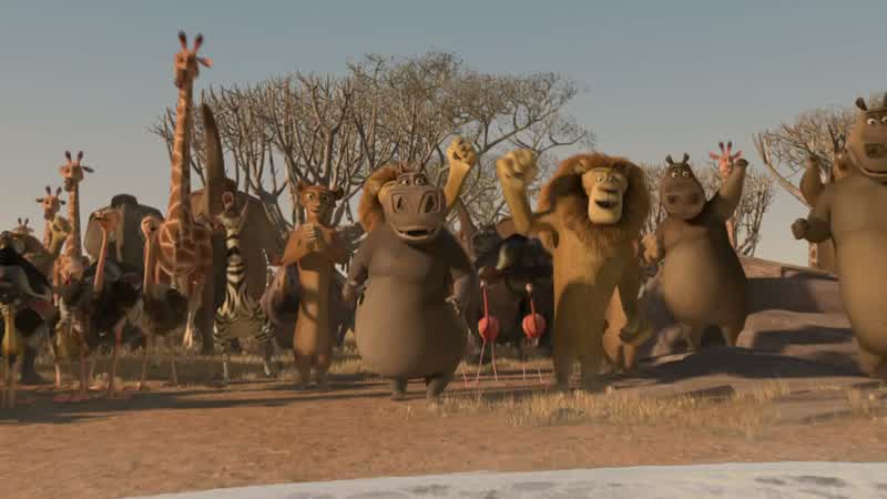 Look! - It's Alakay! - It's Zuba!