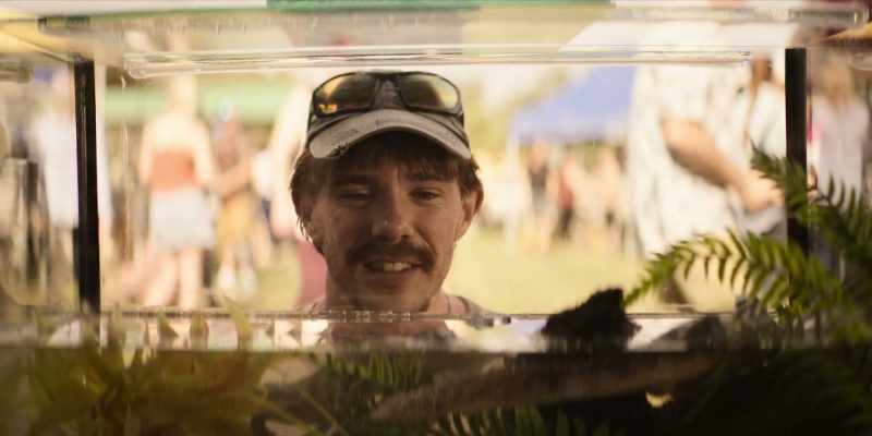 Look, Joe, newborn gators