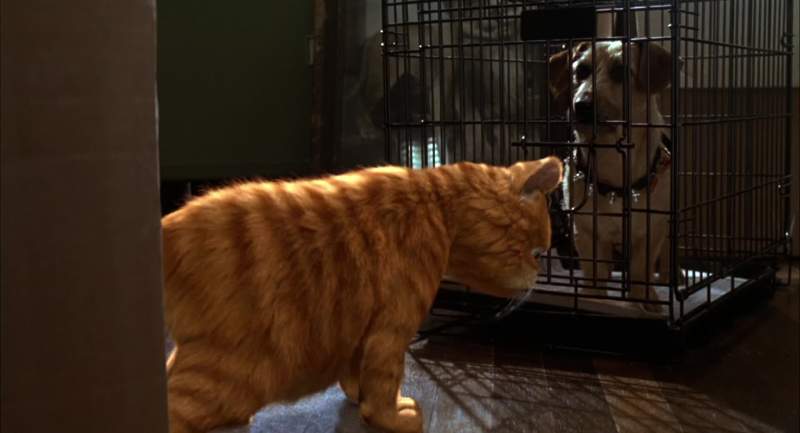 Look we kinda got off on the wrong paw