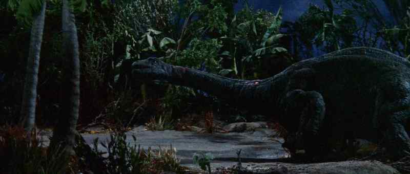 Look! Look, he's heading for the quicksand!