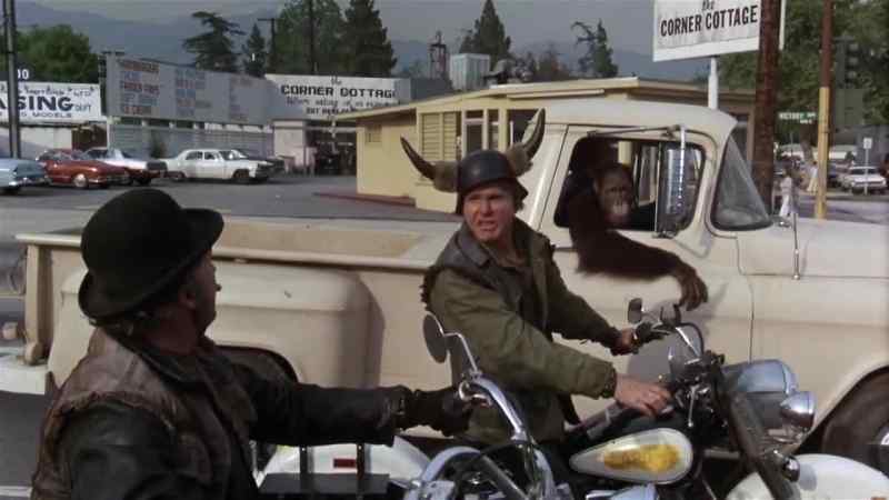 Look, man, it's an ape!