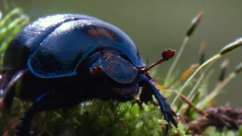 Look