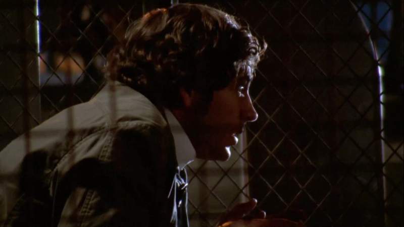 Look what if l surrender and you run l'm going in the cell What's the difference