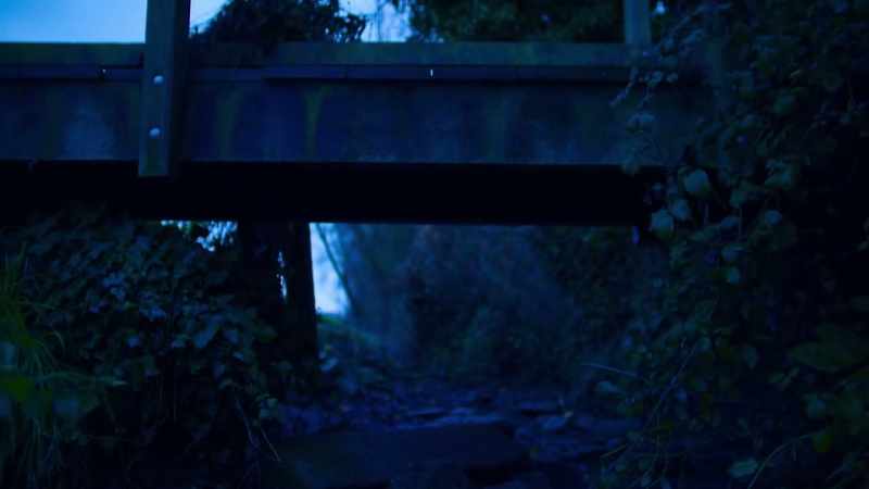 Looking at the footbridge