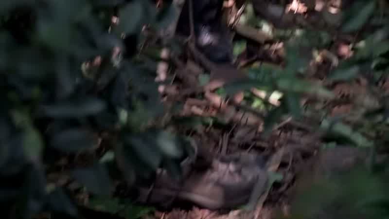 Looks like Justin's shoe
