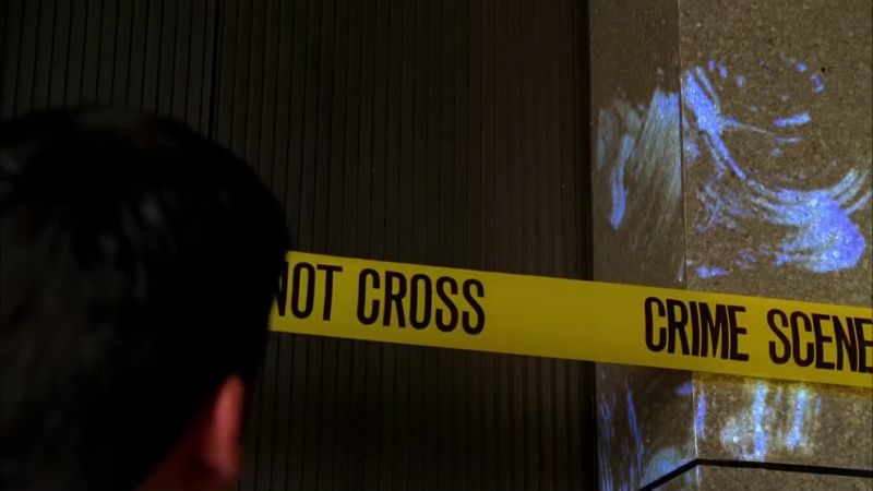 Looks like the killer wiped down renee's blood