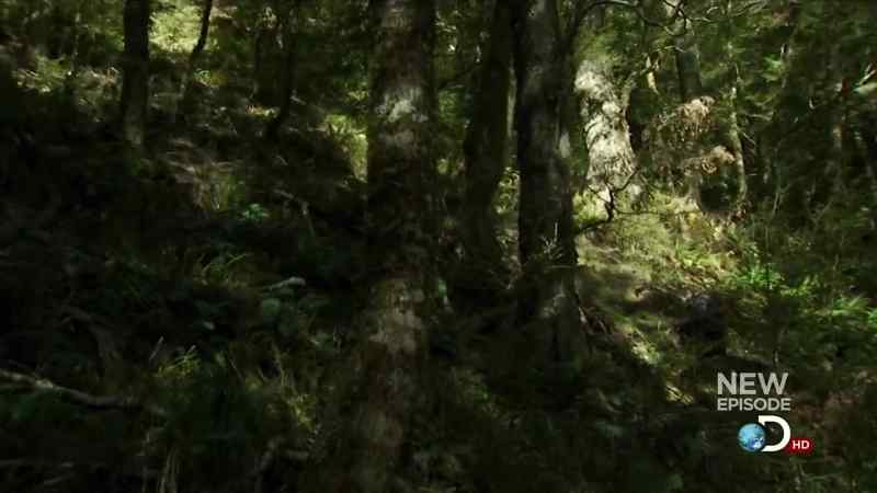 Lord Blackwood