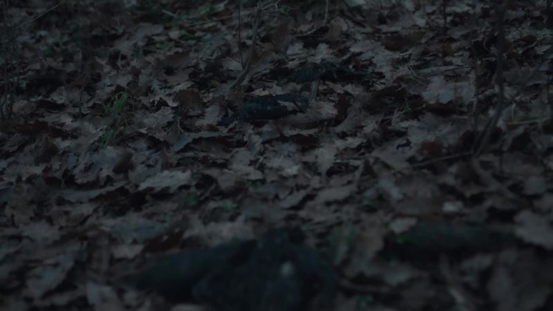 Lord? Do you see something?
