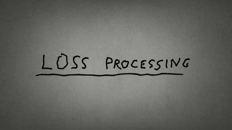 Loss Processing is a tool that allows you to process loss, right?
