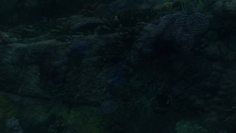 Lost 6x01 - LAX 1