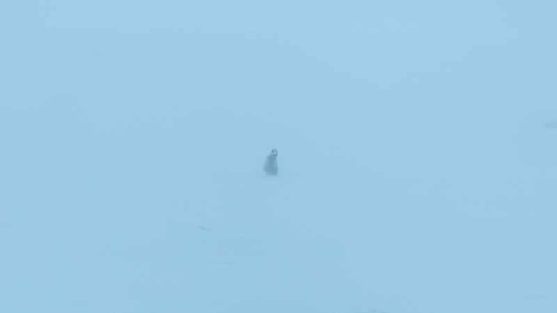 Lost and alone, his only hope