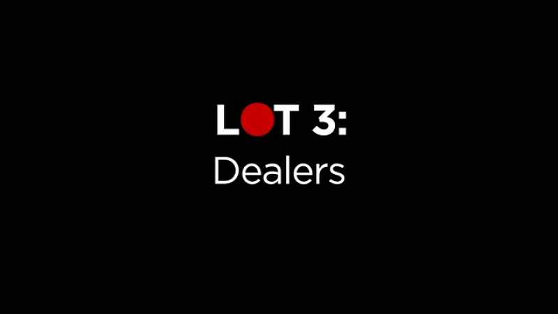 LOTE 3: MARCHANTES