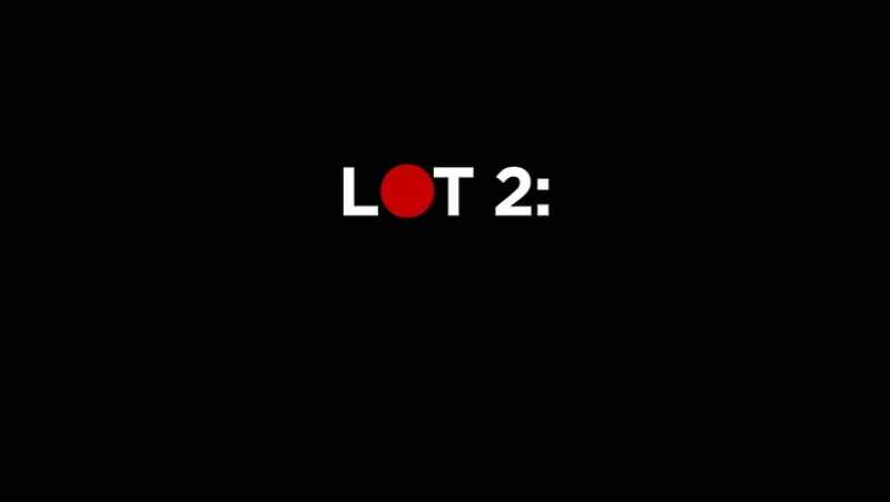 LOTE DOS: ARTISTAS