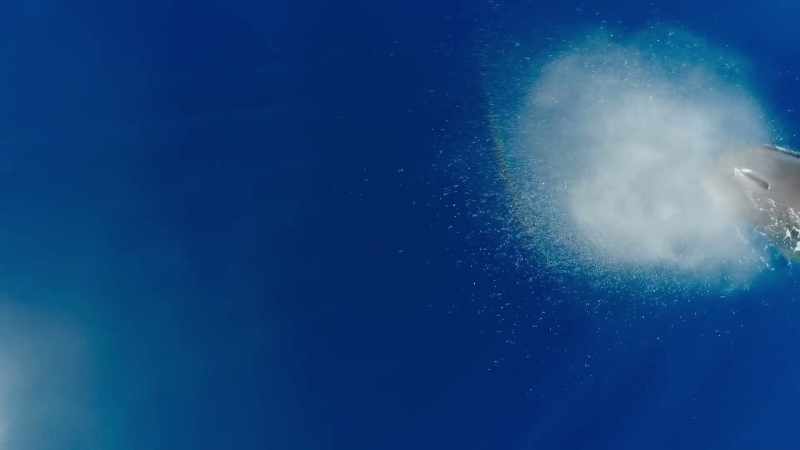 (LOUD SPLASH)