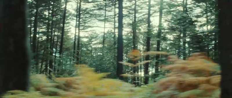 [loud whirring]