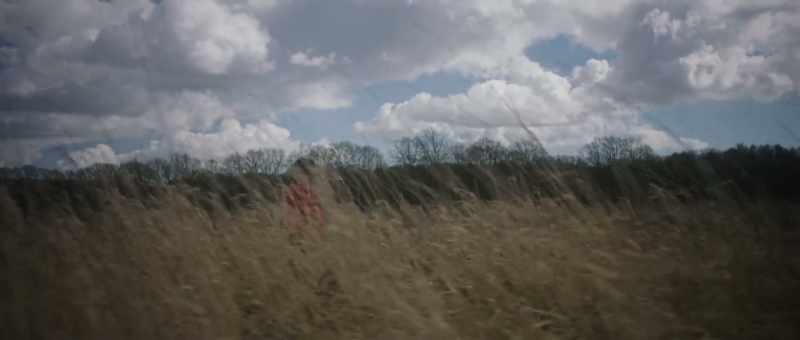 [loudly rustling grasses]