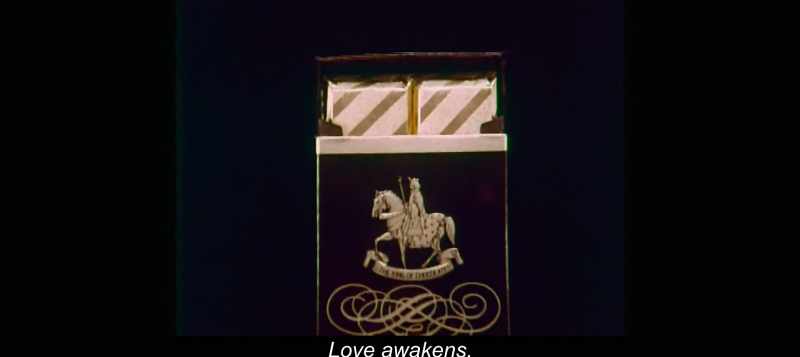 Love awakens