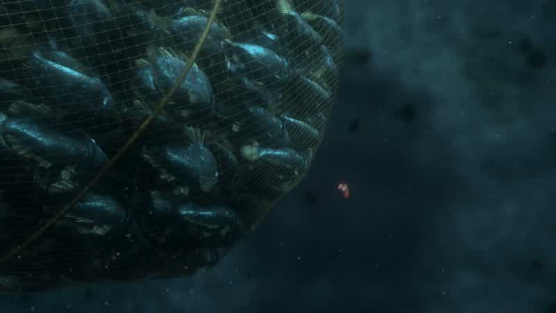 <i>Just keep swimming</i> Almost there