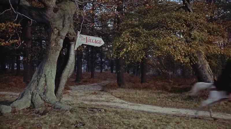 lt's the Wrong road! This Will take us to the village!