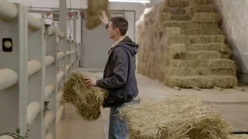 Luckily enough, the barn's big enough
