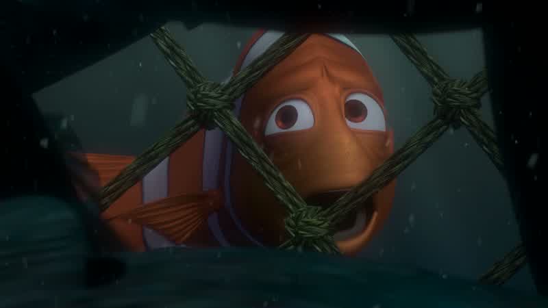 Lucky fin