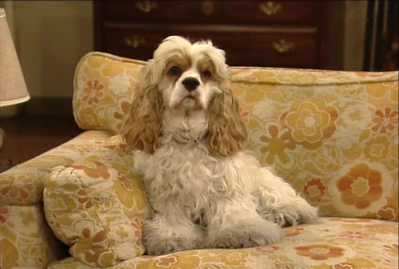Lucky: Previously on married with children