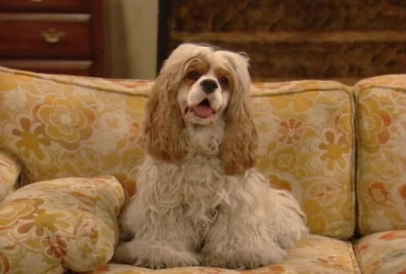 Lucky: Previously on married with children