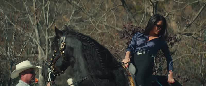 Lucky saddle