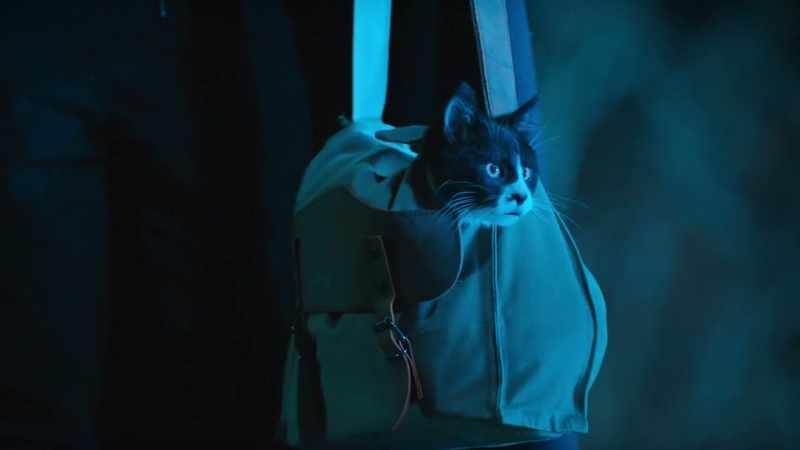 Lucy? Do I have nine lives? For real?
