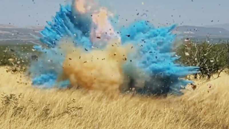 LUCY: Like this gender reveal party
