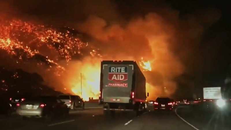 LUCY: My obsession with wildfire began