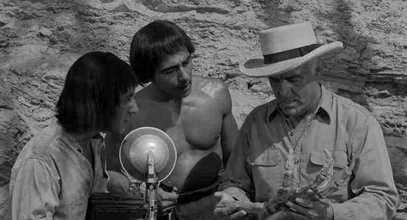 Luis, I'm going to Morajo Bay, to the institute