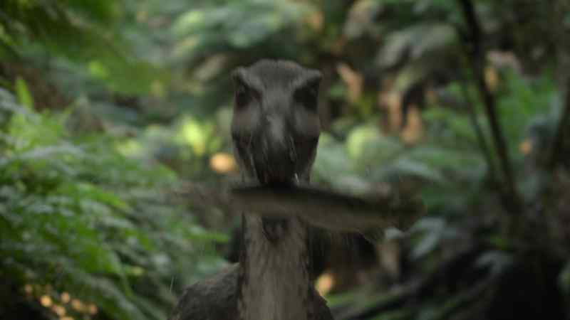 Lunch for a giant Austroraptor