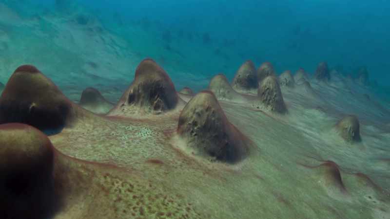 Lying on its lakebed