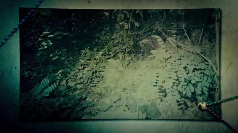 LYNDE JOHNSON: When we first found in Anna Steffen
