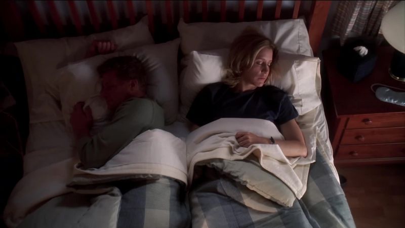 LYNETTE SCAVO HAD A DREAM LAST NIGHT