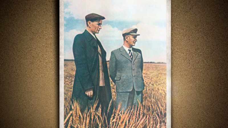 Lysenko was sure that the solution