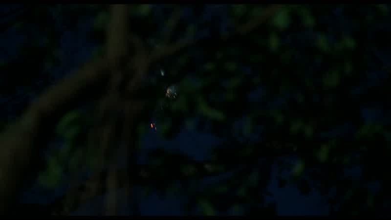 Mac. - This way. - Where the hell are you?