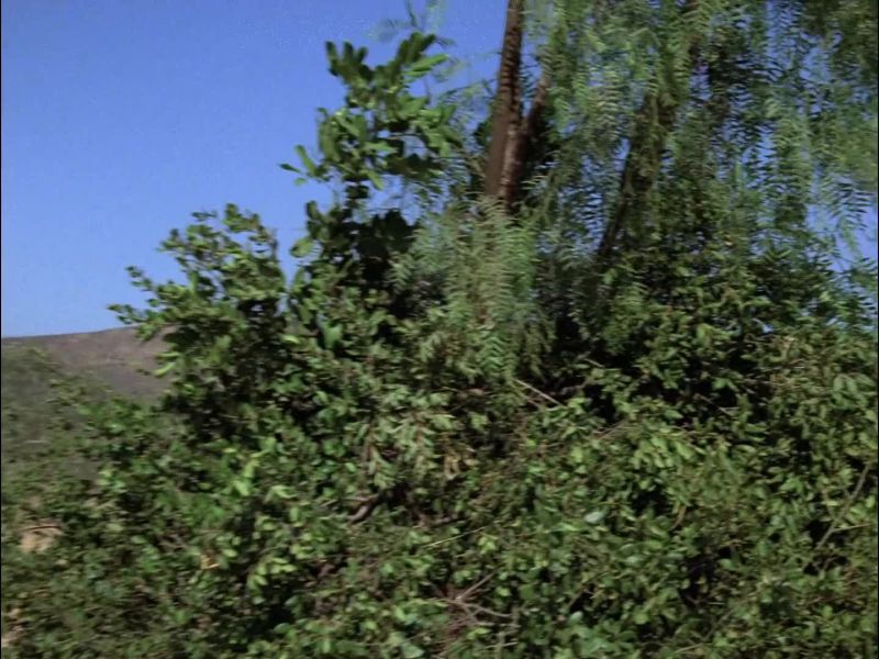MacGyver, we are just about there