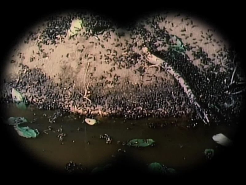 MACGYVER: Uh, you better take a look at this