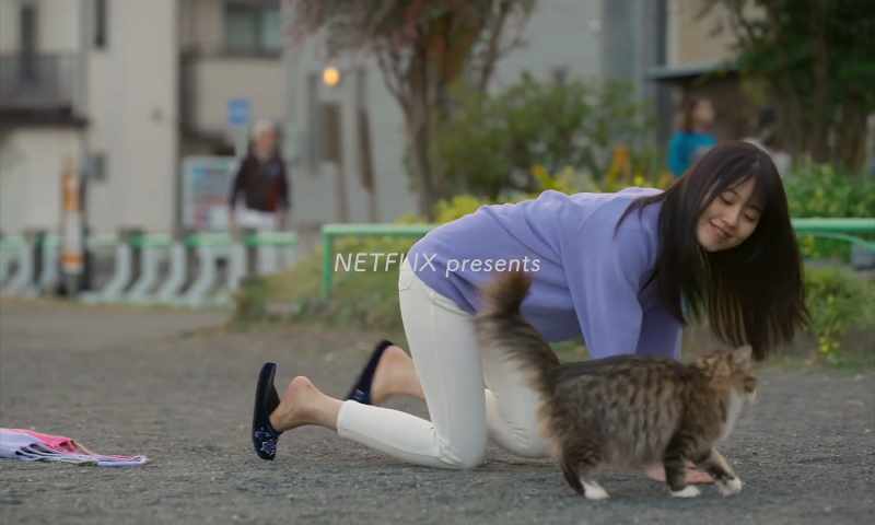 Madam pussycat, how are you today?