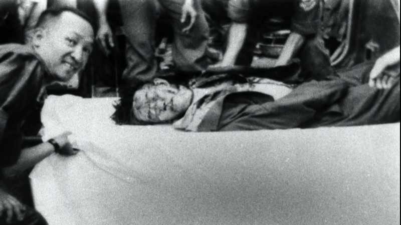 Madame Nhu survived the coup