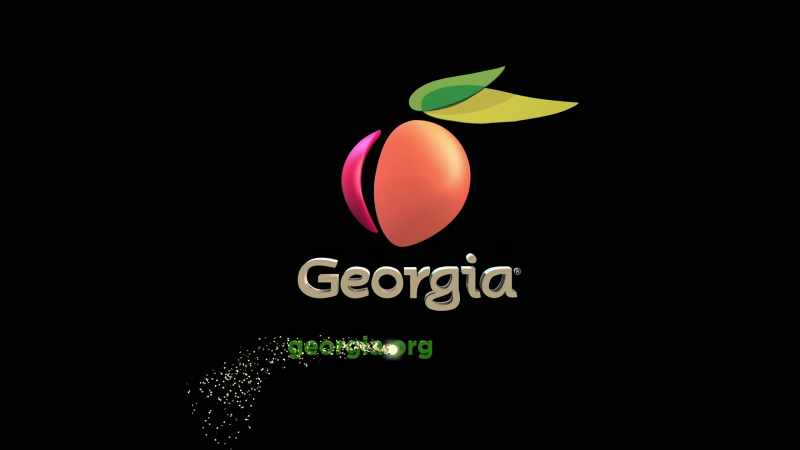 Made in Georgia