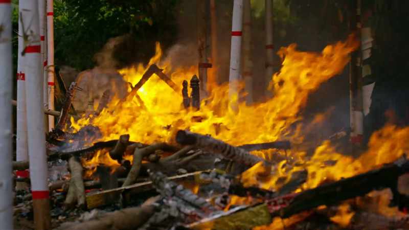 MAE: When you burn something that was once alive