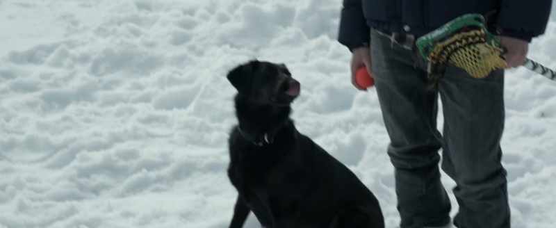 Maggie. (laughter)